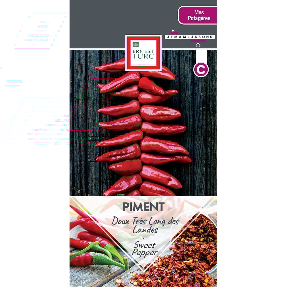 Piment+doux+tres+long+des+landes