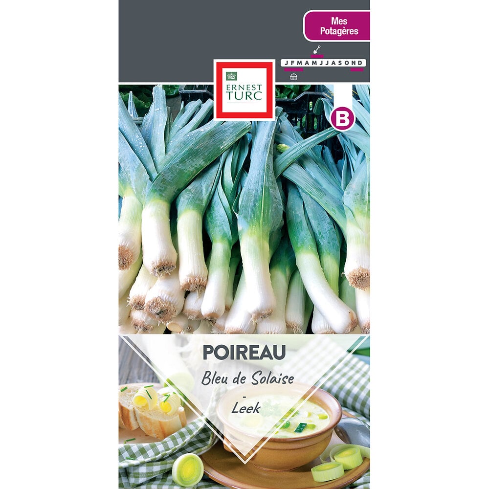 Poireau+bleu+de+solaise