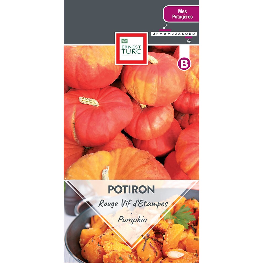 Potiron+rouge+tres+hatif+d%27etampes