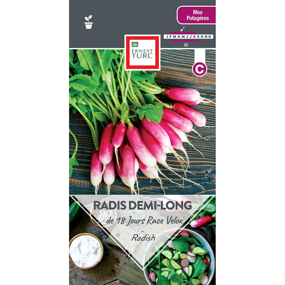 Radis+long+de+18+jours+race+velox