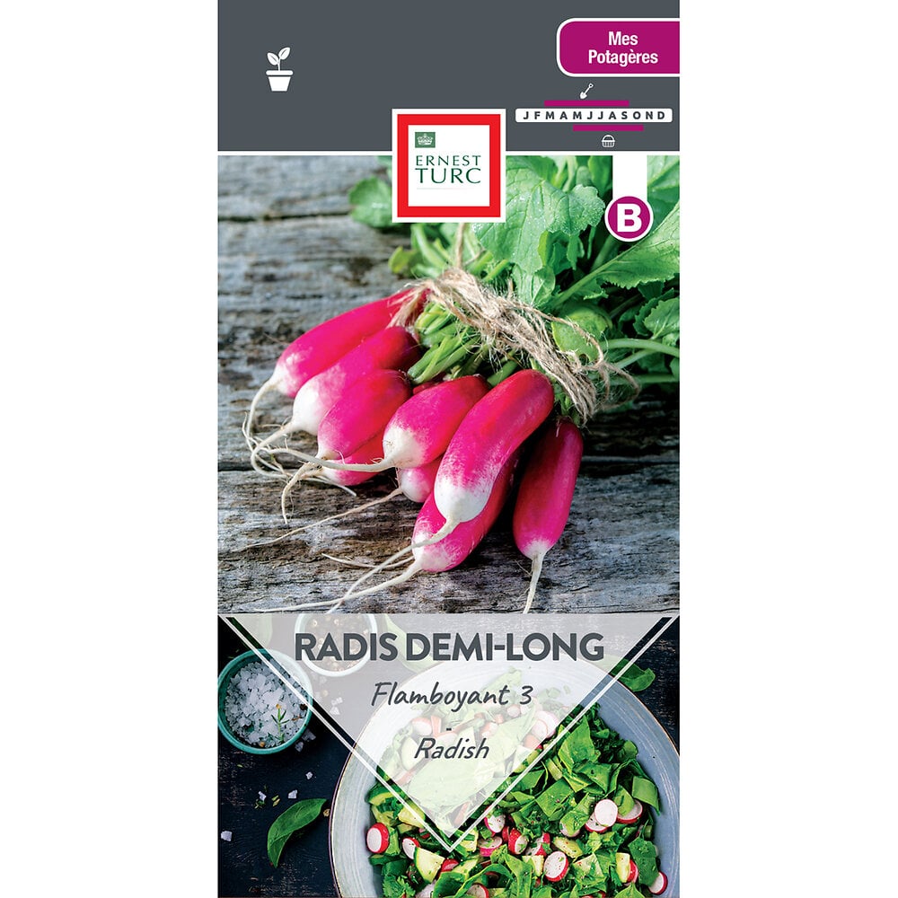 Radis+long+flamboyant+3