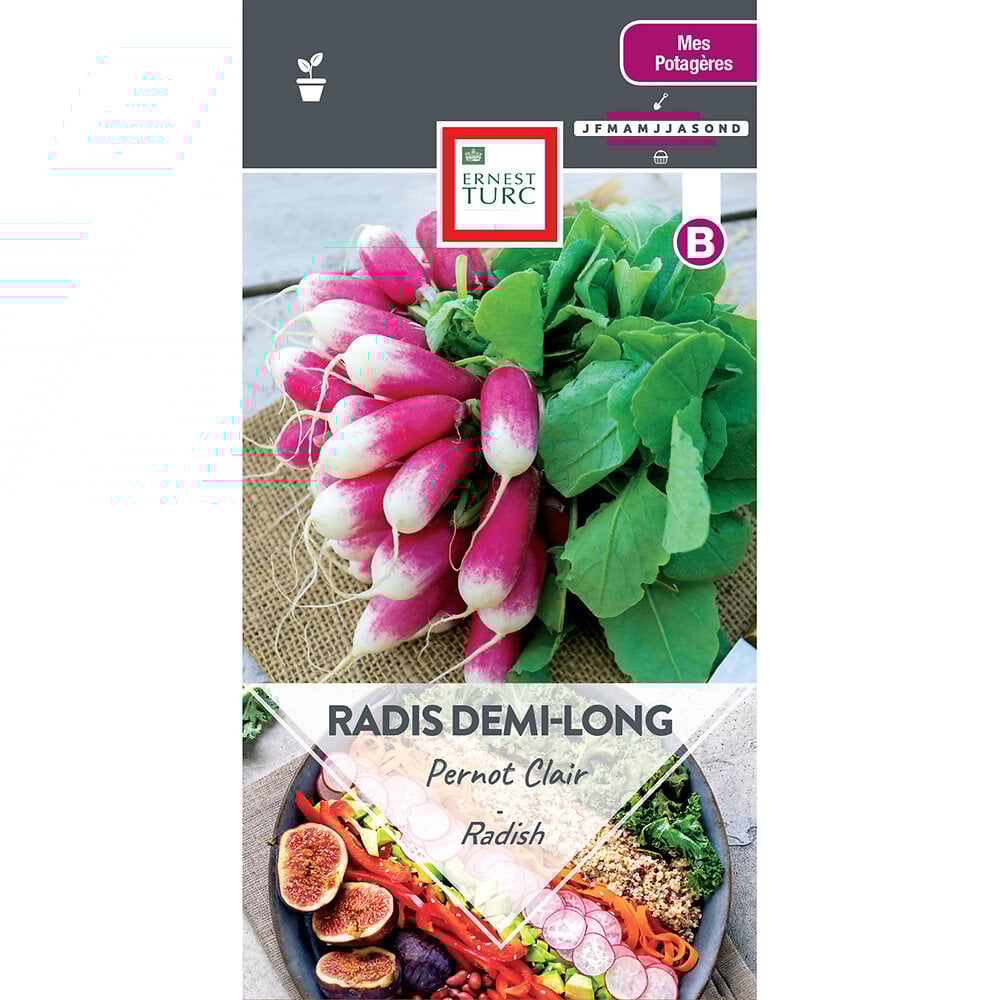 Radis+long+pernot+clair