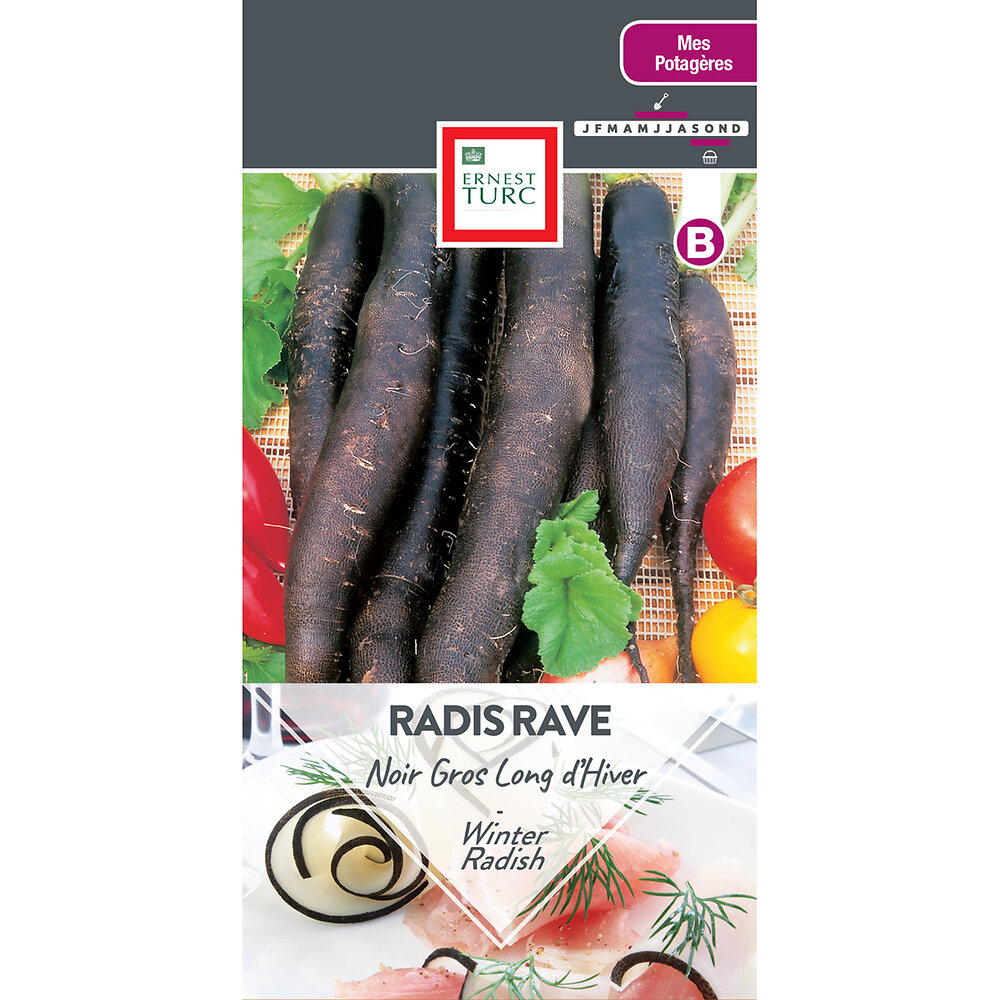 Radis+rave+noir+gros+long+d+hiver+de+paris