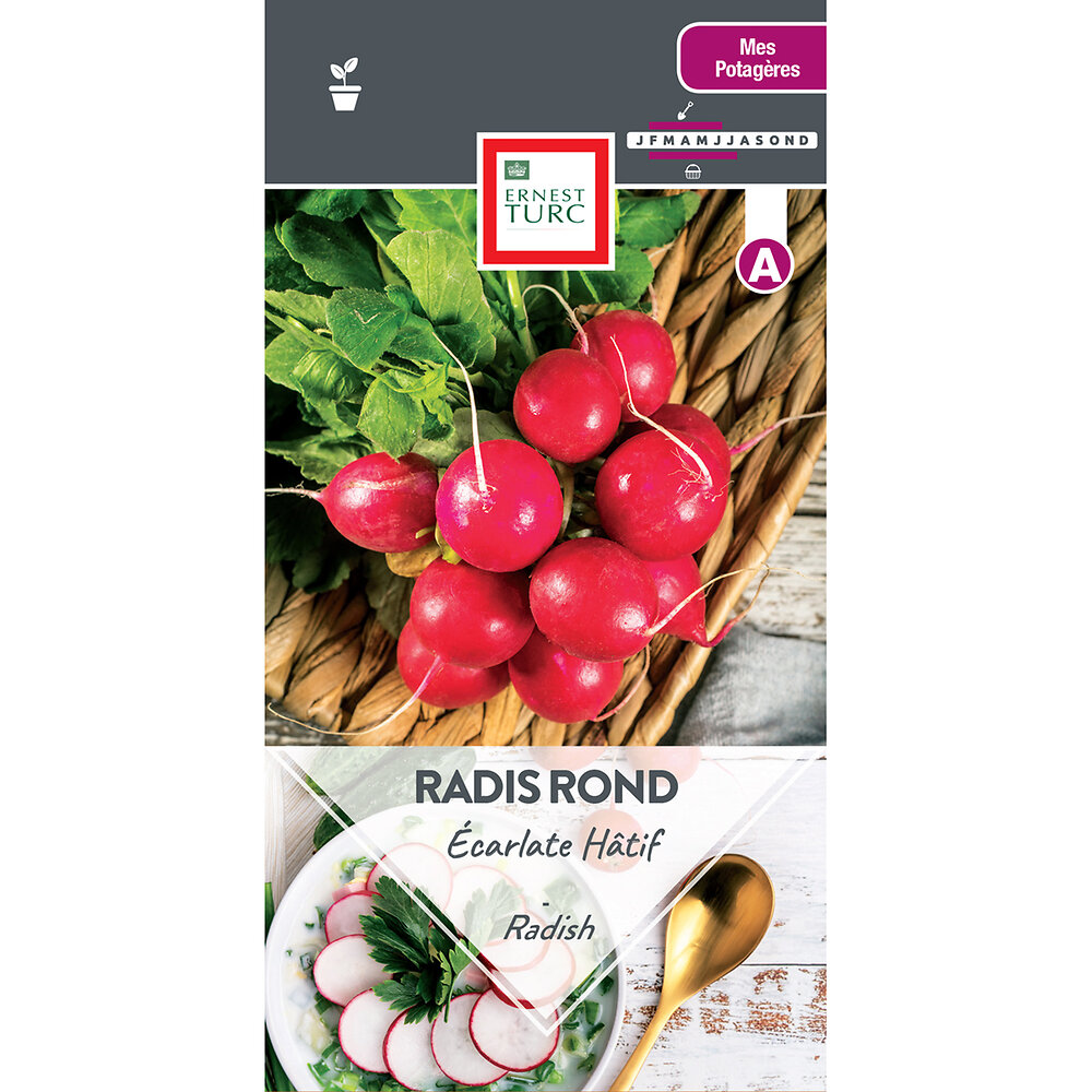 Radis+rond+a+forcer+ecarlate