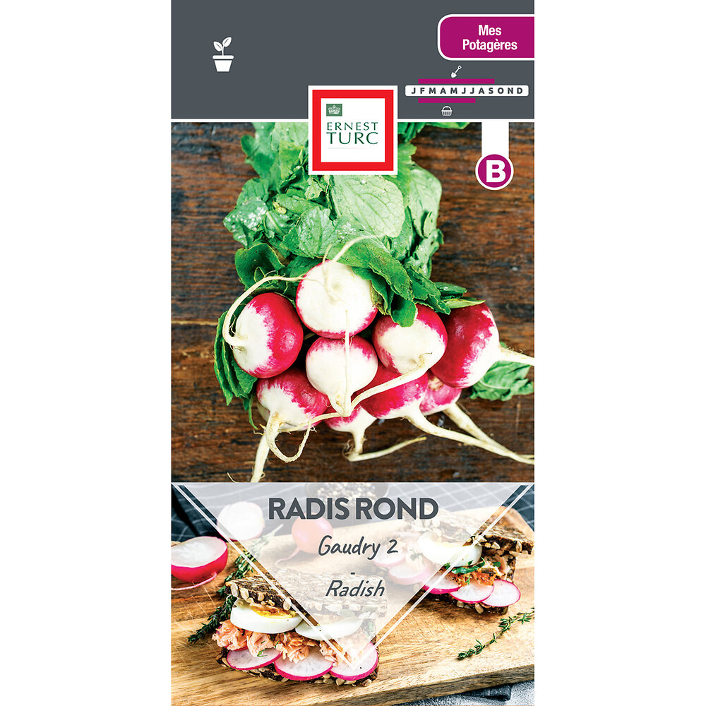 Radis+rond+gaudry+2
