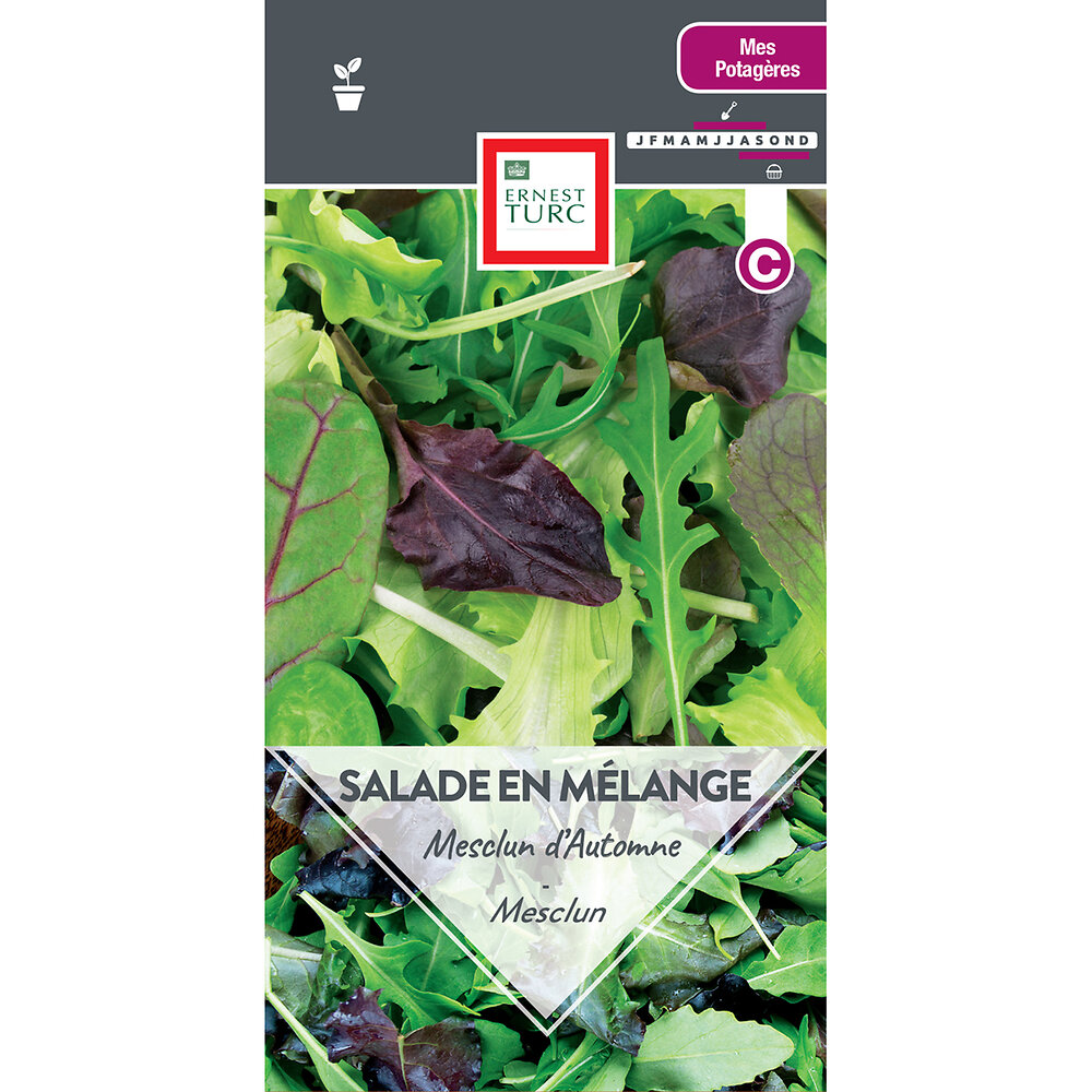 Salade+en+melange+mesclun+d%27automne