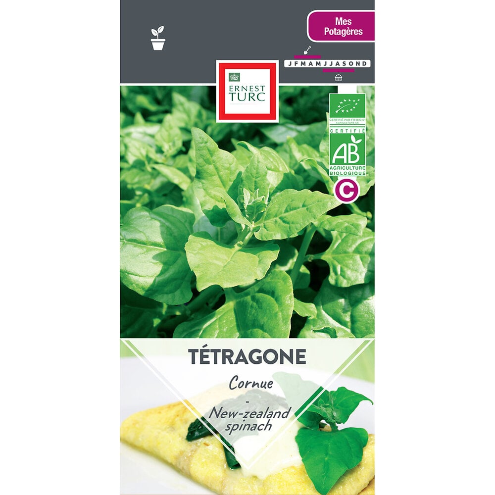 Tetragone+cornue+bio