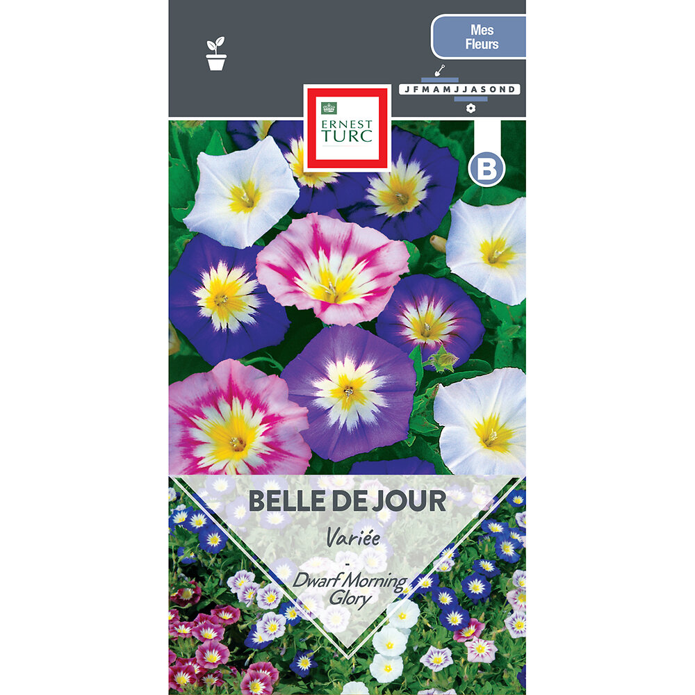 Belle+de+jour+variee