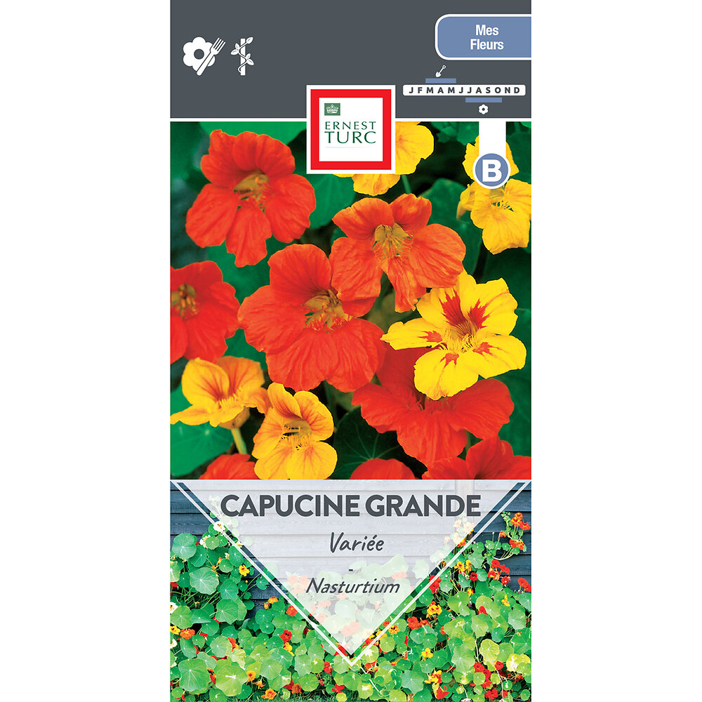 Capucine+grande+variee