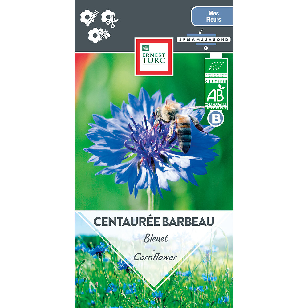 Centauree+barbeau+double+bleue+bio