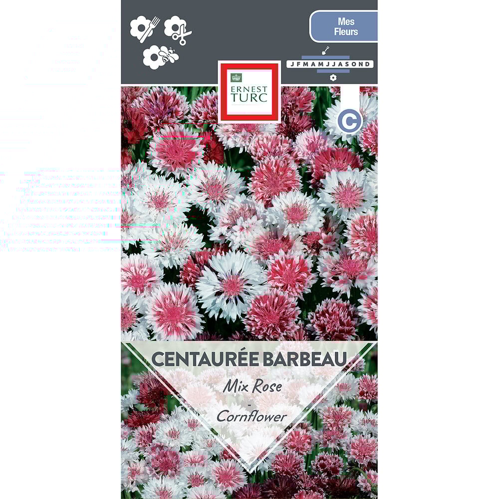 Centauree+barbeau+double+mix+rose