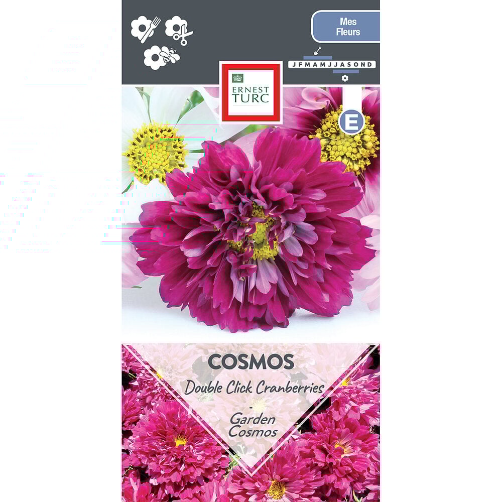 Cosmos+double+click+cranberries