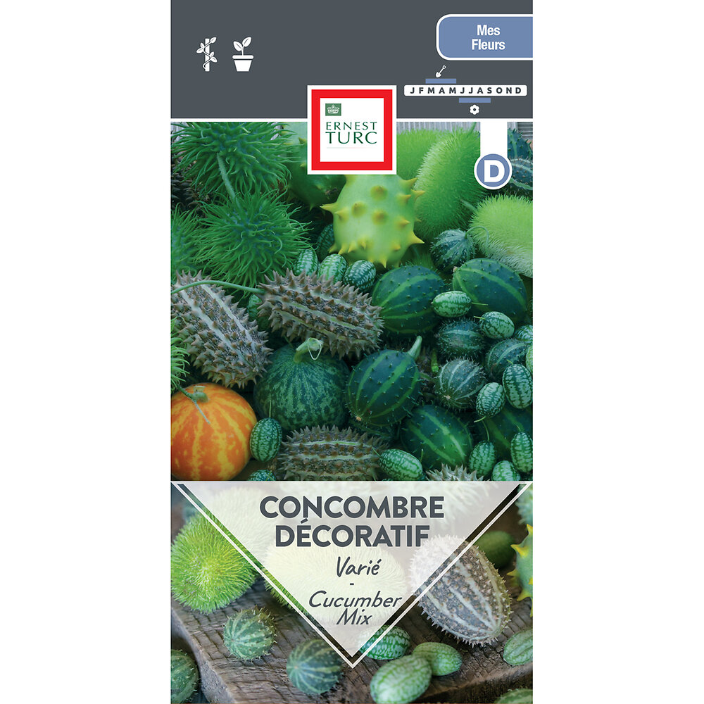 Mini+concombre+decoratif+varie