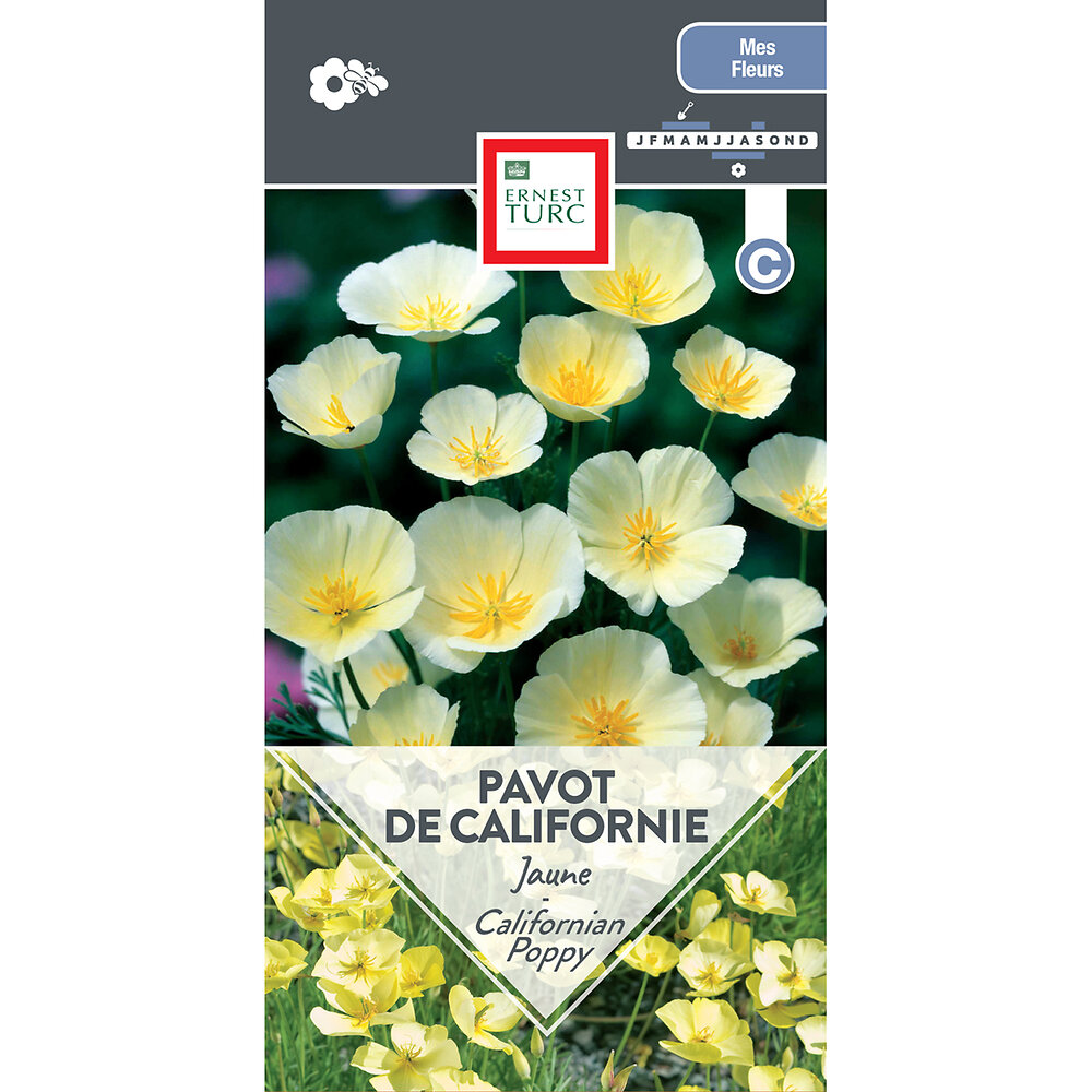 Pavot+de+californie+jaune+clair