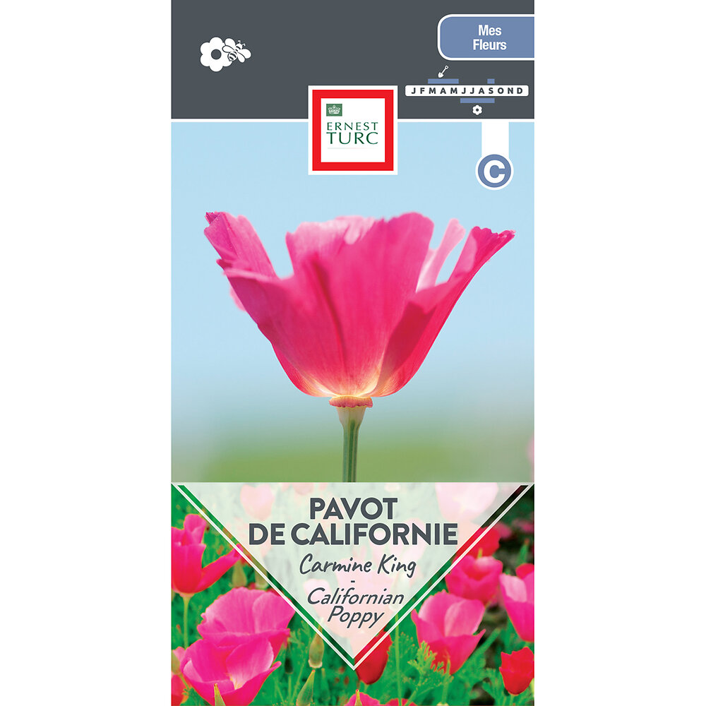 Pavot+de+californie+carmine+king