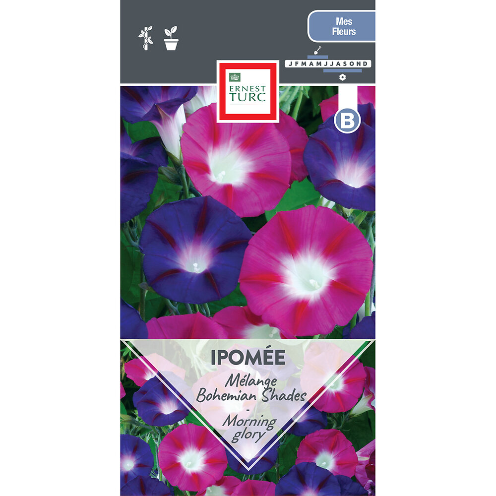 Ipomee+bohemian+shades