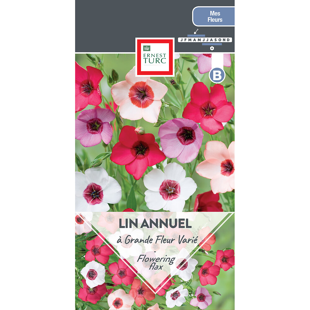 Lin+annuel+a+grandes+fleurs+varies