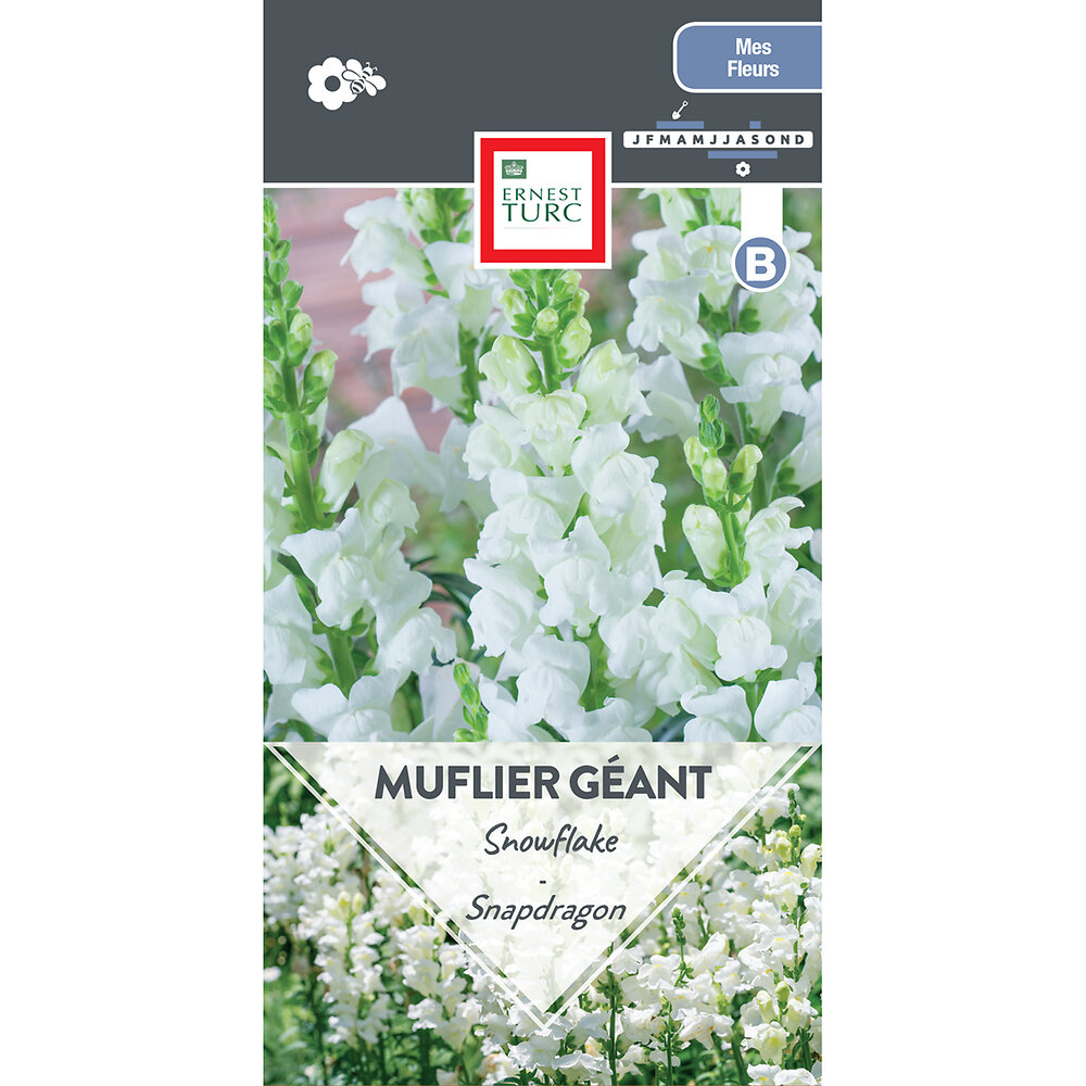 Muflier+geant+snowflake