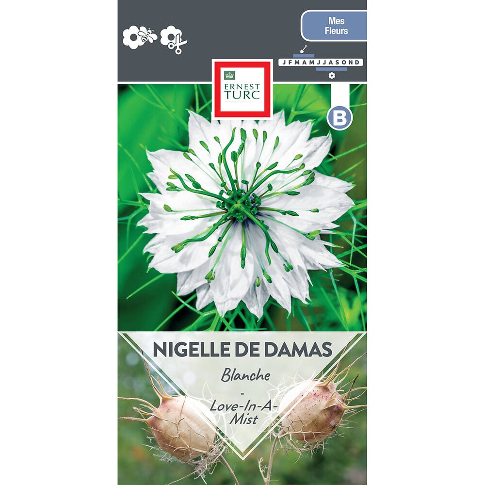 Nigelle+de+damas+blanche