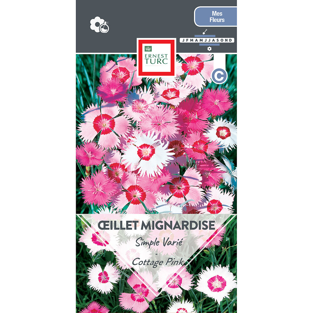 Oeillet+mignardise+simple+varie