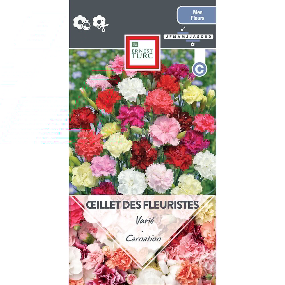 Oeillet+des+fleuristes+varies