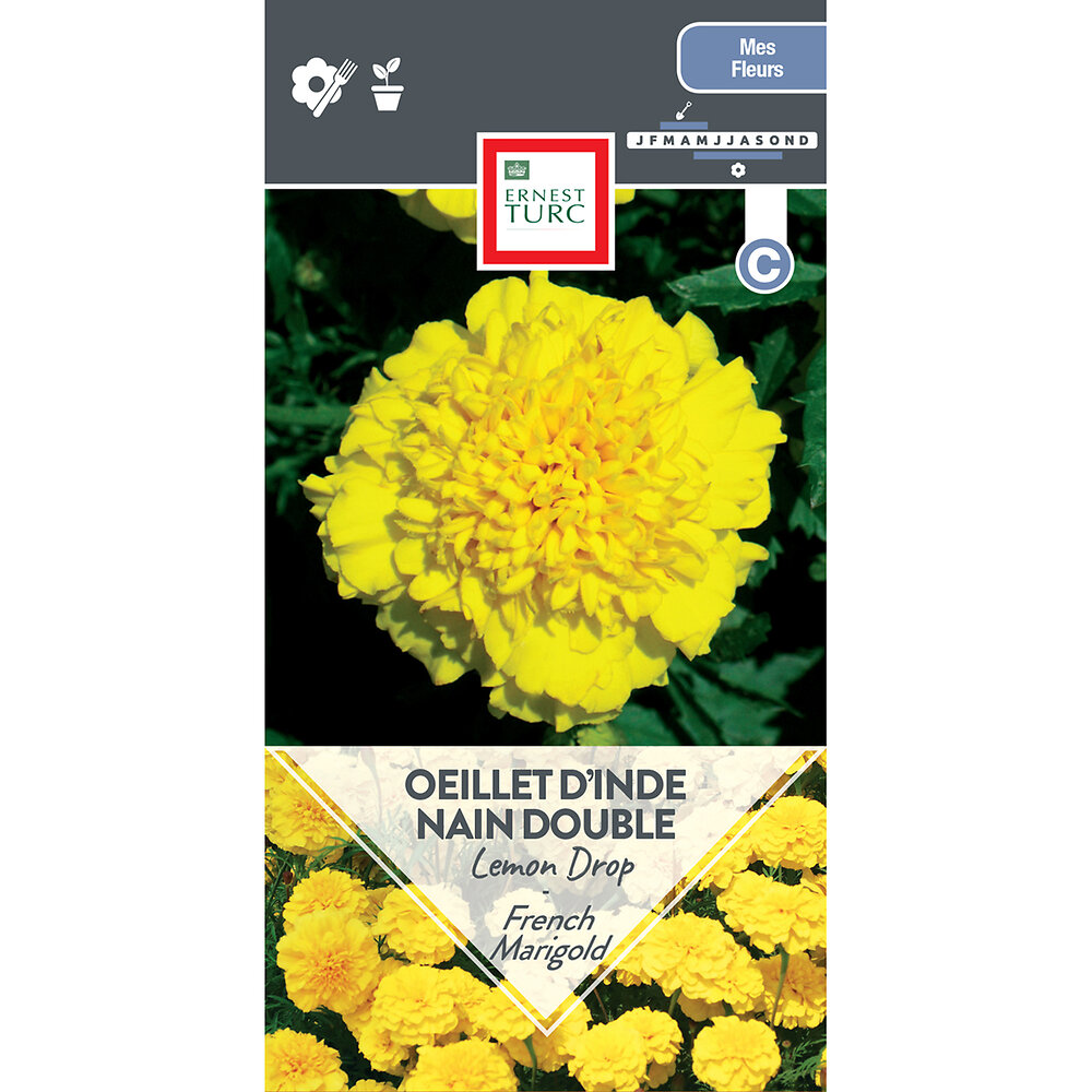 Oeillet+d%27inde+nain+double+lemon+drop