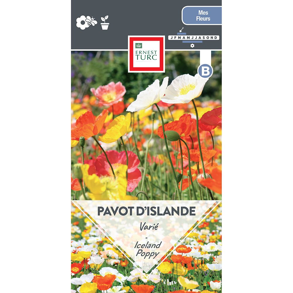 Pavot+d%27islande+varie