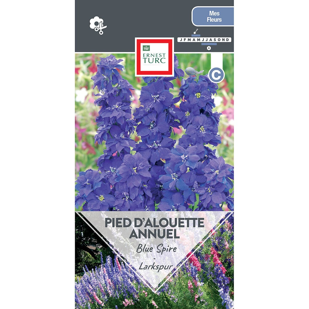 Pied+d%27alouette+annuel+blue+spire