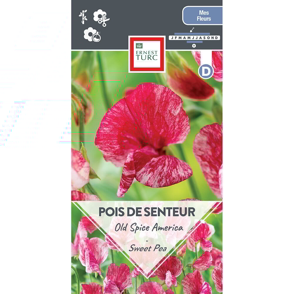 Pois+de+senteur+old+spice+america