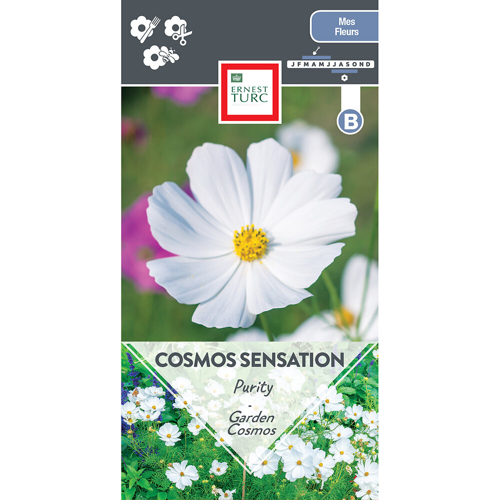 Cosmos+sensation+purity