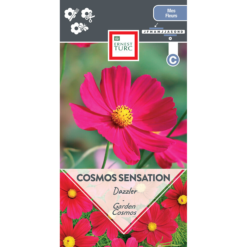 Cosmos+sensation+dazzler