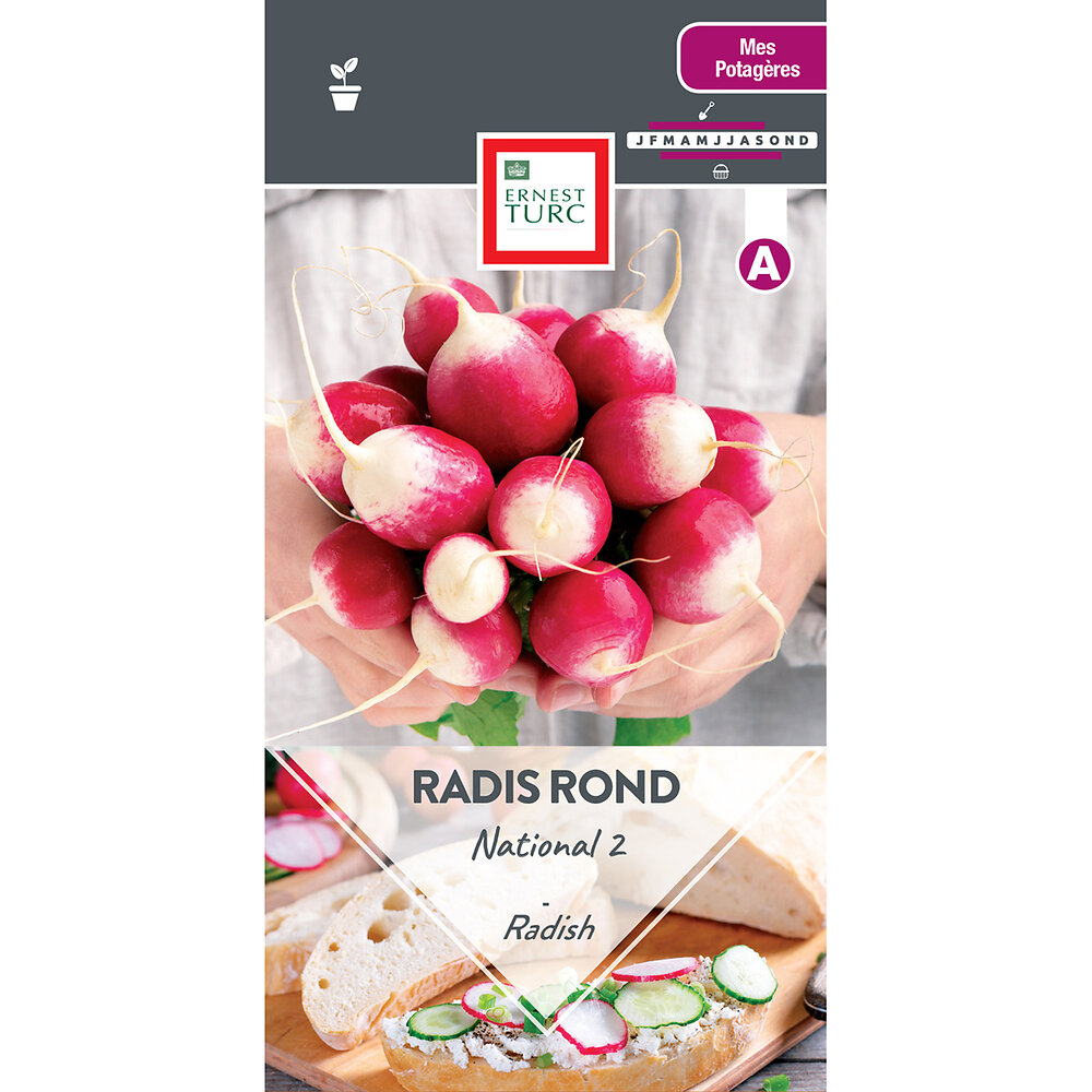 Radis+rond+rose+a+bout+blanc+2