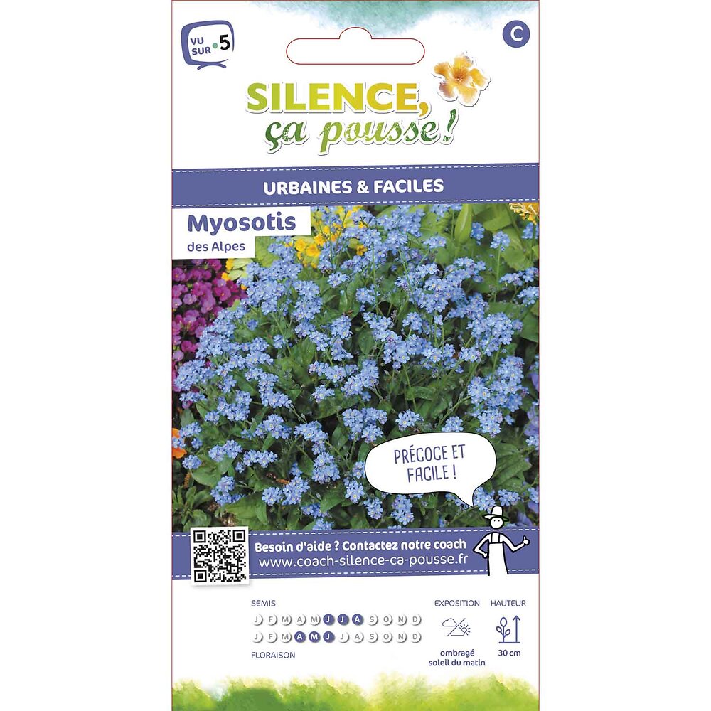 SCPS - Semences de myosotis des alpes bleu 0.8g - large