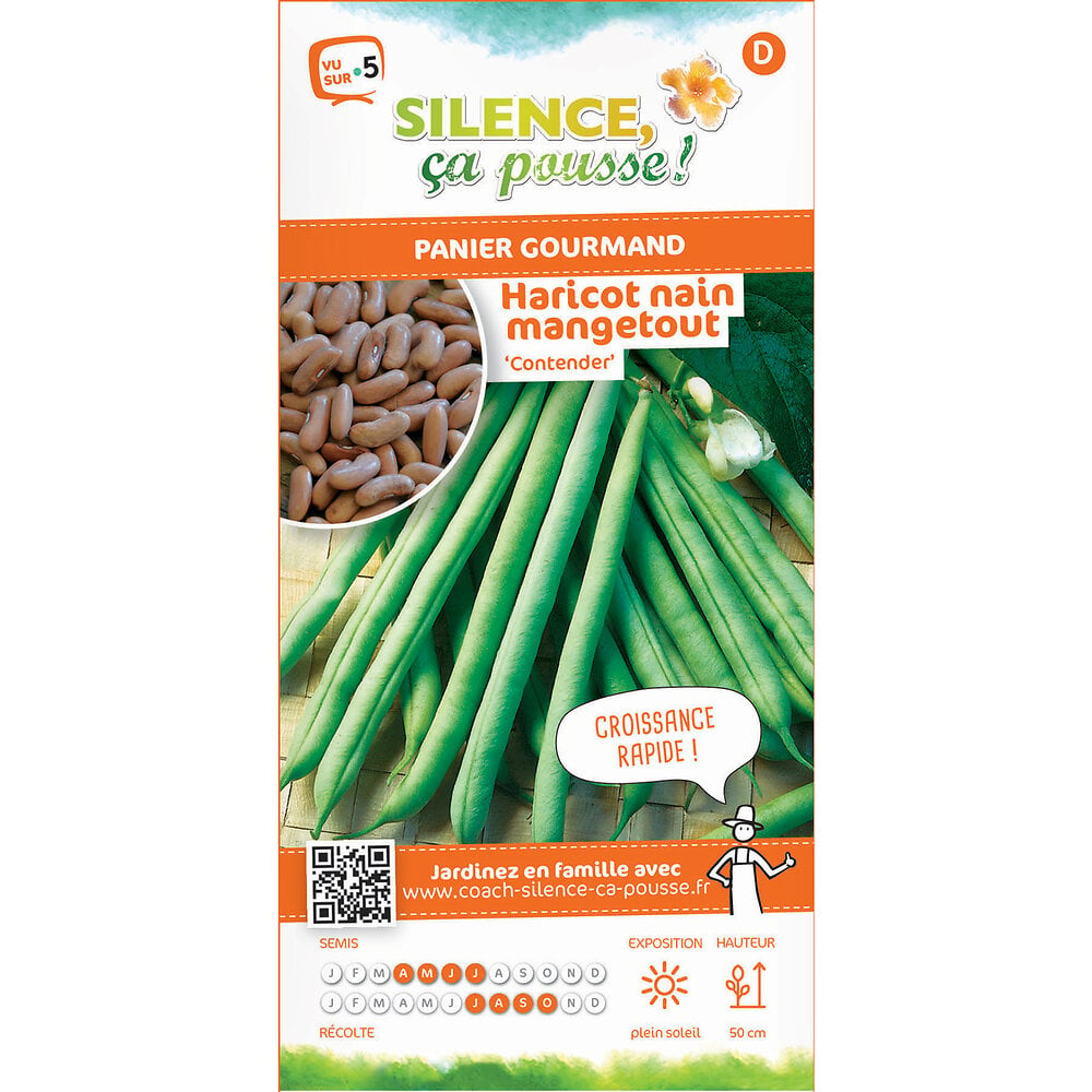 Semences De Haricot Nain Mangetout Contender 80g Bricorama