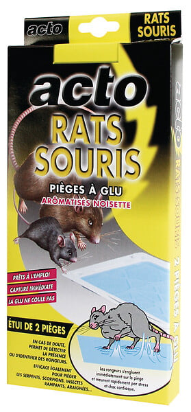 Plaque collante souris rats insectes rampants