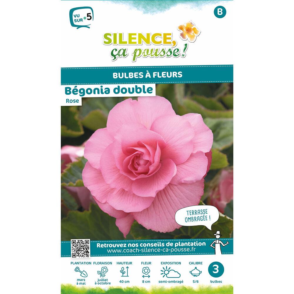 SCPB P - Bulbe à fleur Bégonia double rose 5/6 x3 - large