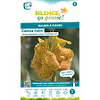 SCPB P - Bulbe à fleur Canna nain feuillage vert jaune moucheté rouge I x1 - vignette