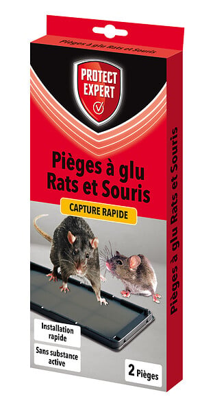 Piège à glu ACTO SOURIS SUPPORT BOIS - Efficace contre souris et autres  nuisibles