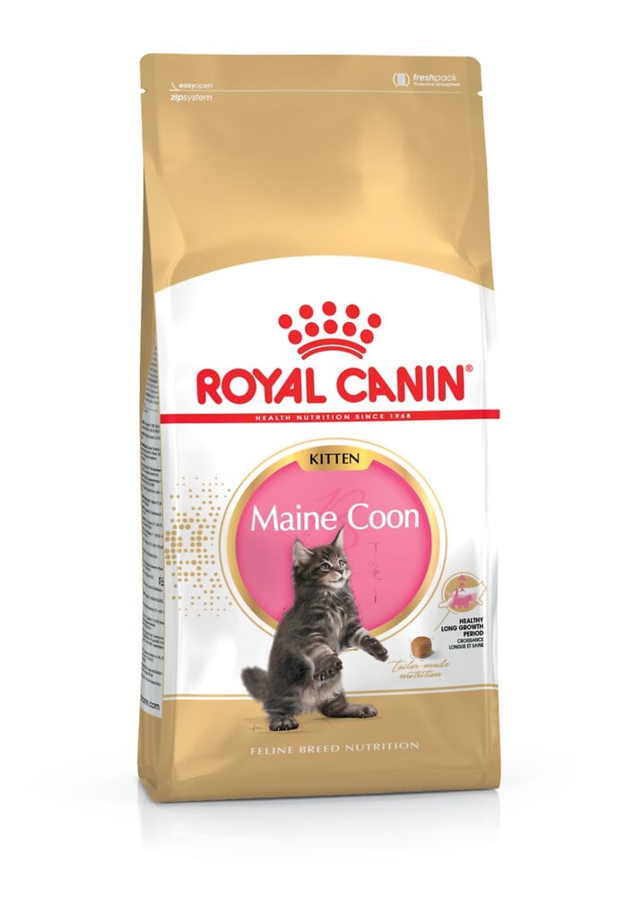 ROYALCANIN - Croquettes chat MAINE COON KITTEN CHATON JUSQU'A 15 MOIS 400G - large