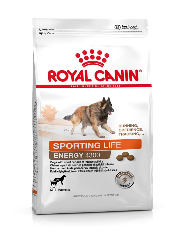 ROYALCANIN - Croquettes chien SPORTING LIFE ENERGY 4300 15KG - large