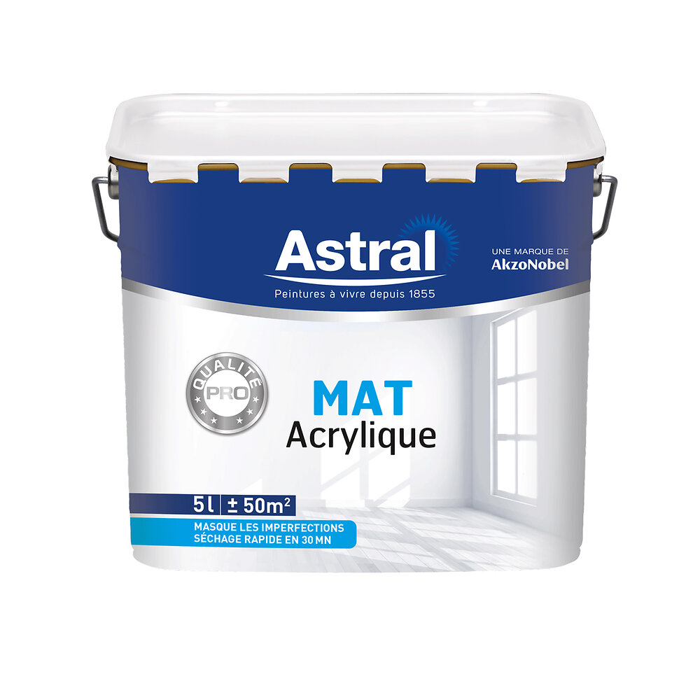 ASTRAL - Peinture bicouche - Blanc - Effet mat - Ligne professionnelle - 5L - large