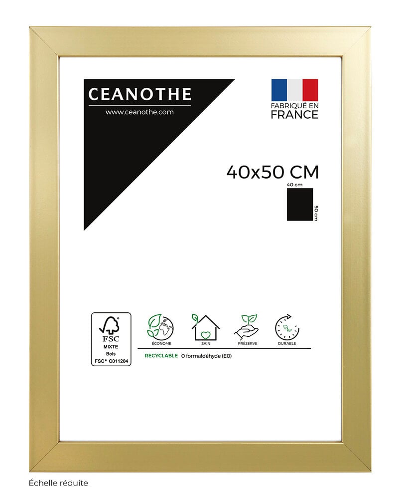 CEANOTHE - Cadre 40x50 Precious doré - large