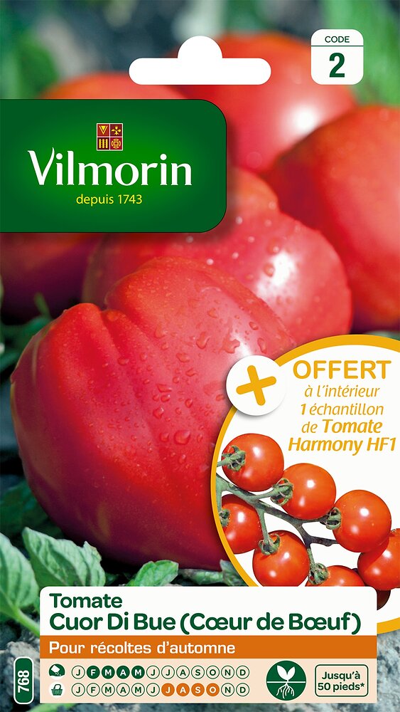 VILMORIN - Tomate Cuor di bue - large