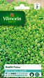 VILMORIN - Basilic pistou - vignette