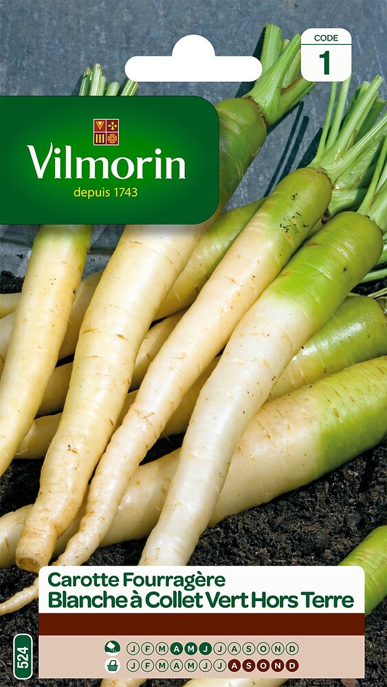 Carotte VILMORIN Fourragère blanche à collet vert hors terre | Bricomarché