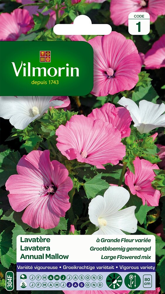 VILMORIN - Lavatère à grande fleur variée - large