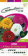 GONDIAN - Zinnia à fleur de dahlia varié - vignette