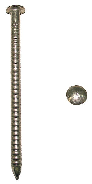 Pointes annelées à tête ronde bombée inox A4 L.50mm 500g