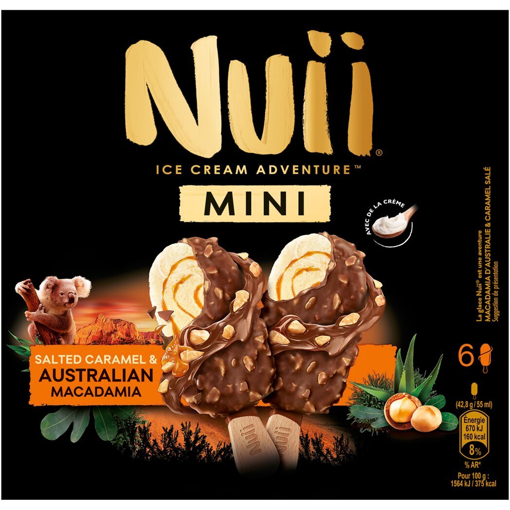 Nuii Nuii Glaces macadamia d'Australie et caramel salé la boîte de 257g